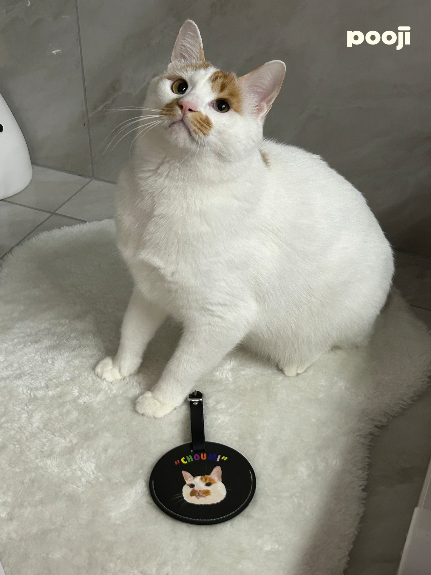 Pooji - Custom Pet Portrait Luggage Tag