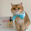 Pooji - Custom Pet Portrait Luggage Tag