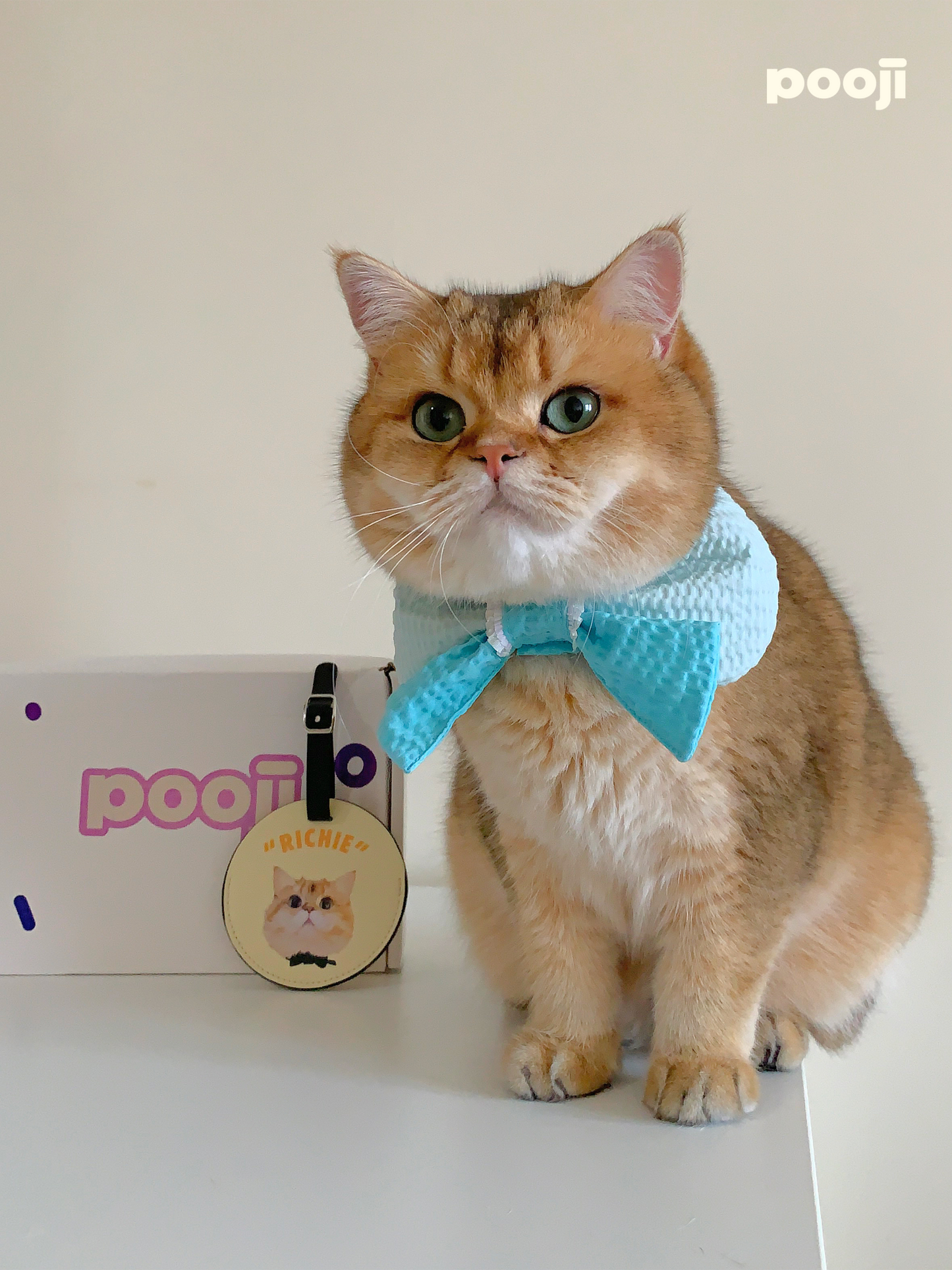 Pooji - Custom Pet Portrait Luggage Tag