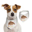 100% Cottom Customized Pet Bandana Bibs