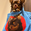 Pooji - Custom Pet Portrait Canvas Tote