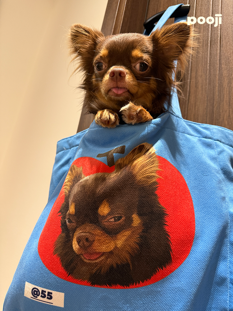 Pooji - Custom Pet Portrait Canvas Tote