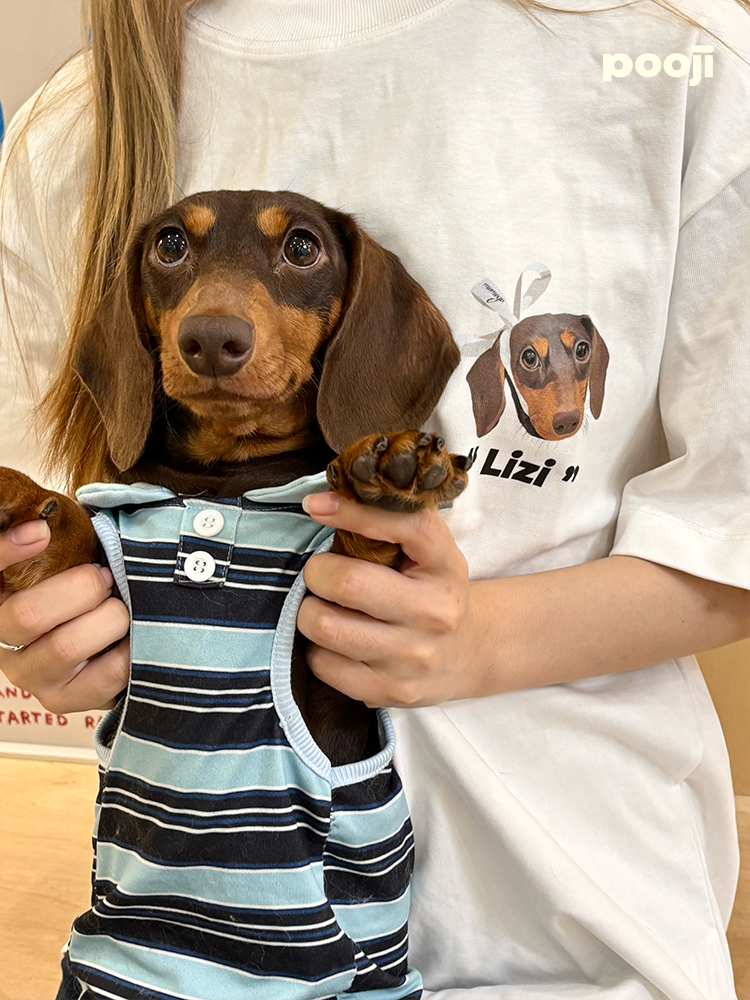 Pooji - Short Sleeve 100% Cotton Pet T-shirt