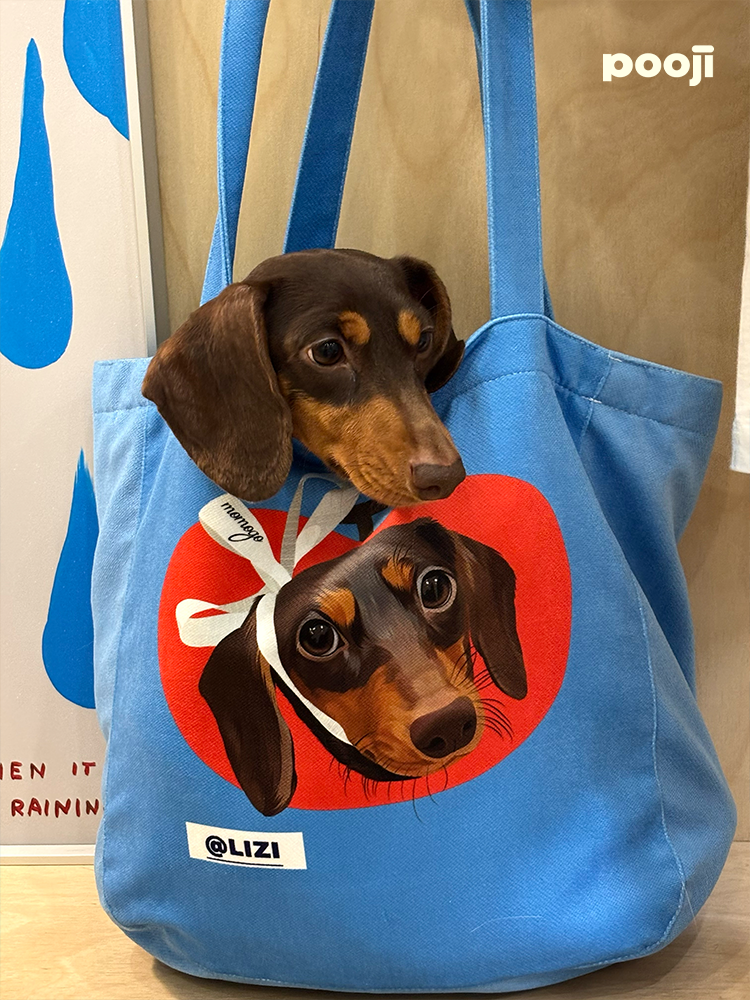 Pooji - Custom Pet Portrait Canvas Tote
