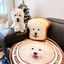 Pooji - Custom Pet Portrait Pillow