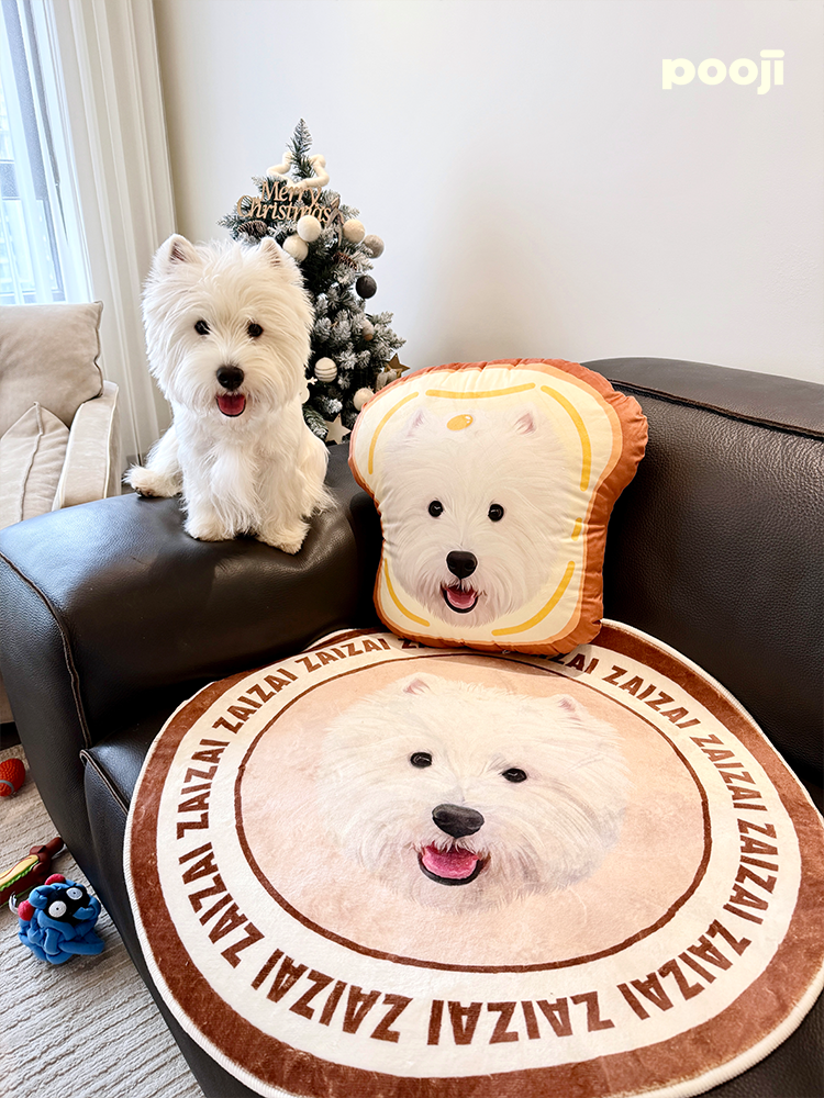 Pooji - Custom Pet Portrait Pillow