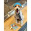 Pooji - Custom Pet Passport Holder