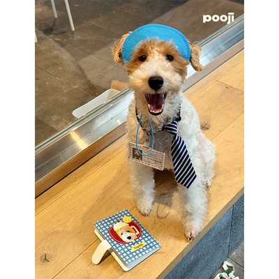 Pooji - Custom Pet Passport Holder
