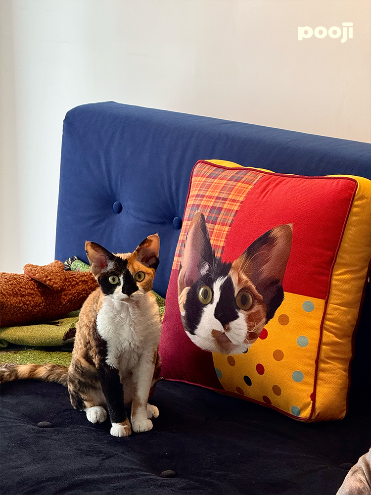 Pooji - Custom Pet Cushion Home Decor