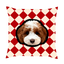 Pooji - Custom Pet Portrait Pillow