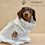 Pooji - Short Sleeve 100% Cotton Pet T-shirt