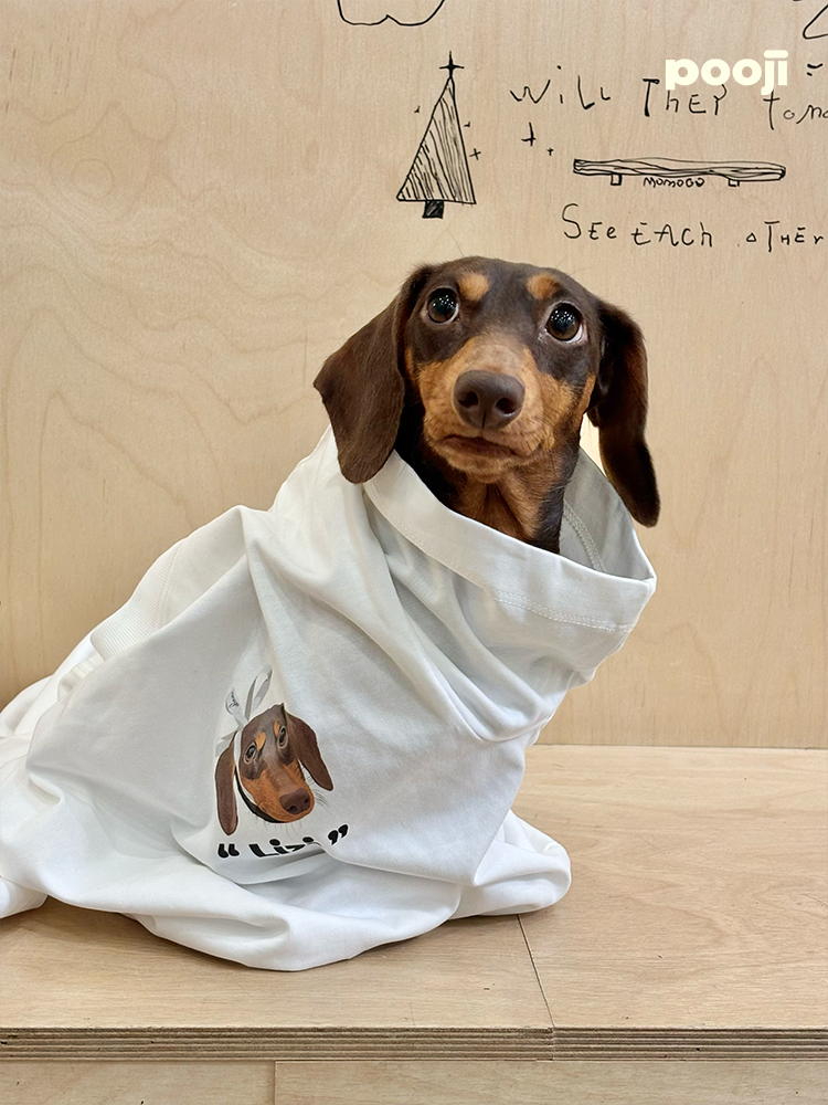 Pooji - Short Sleeve 100% Cotton Pet T-shirt