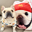 Pooji - Custom Pet Portrait Pillow