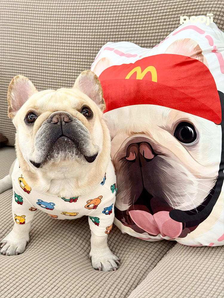 Pooji - Custom Pet Portrait Pillow
