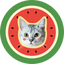Pooji - Custom Pet Portrait Pillow