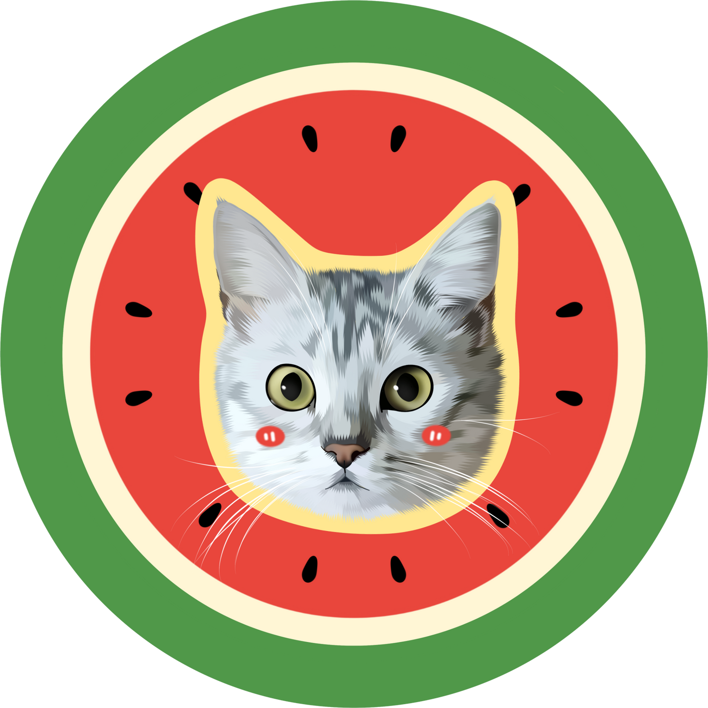 Pooji - Custom Pet Portrait Pillow