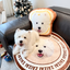 Pooji - Custom Pet Portrait Pillow