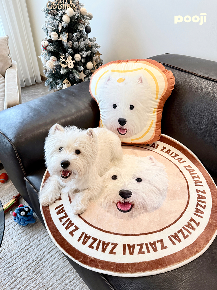 Pooji - Custom Pet Portrait Pillow