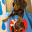 Pooji - Custom Pet Portrait Canvas Tote