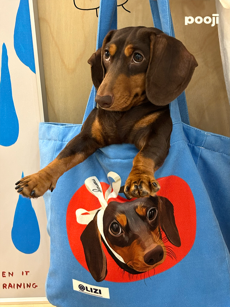 Pooji - Custom Pet Portrait Canvas Tote