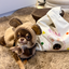 Pooji - Customize Pet Wrist Bag Handbag