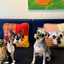 Pooji - Custom Pet Cushion Home Decor