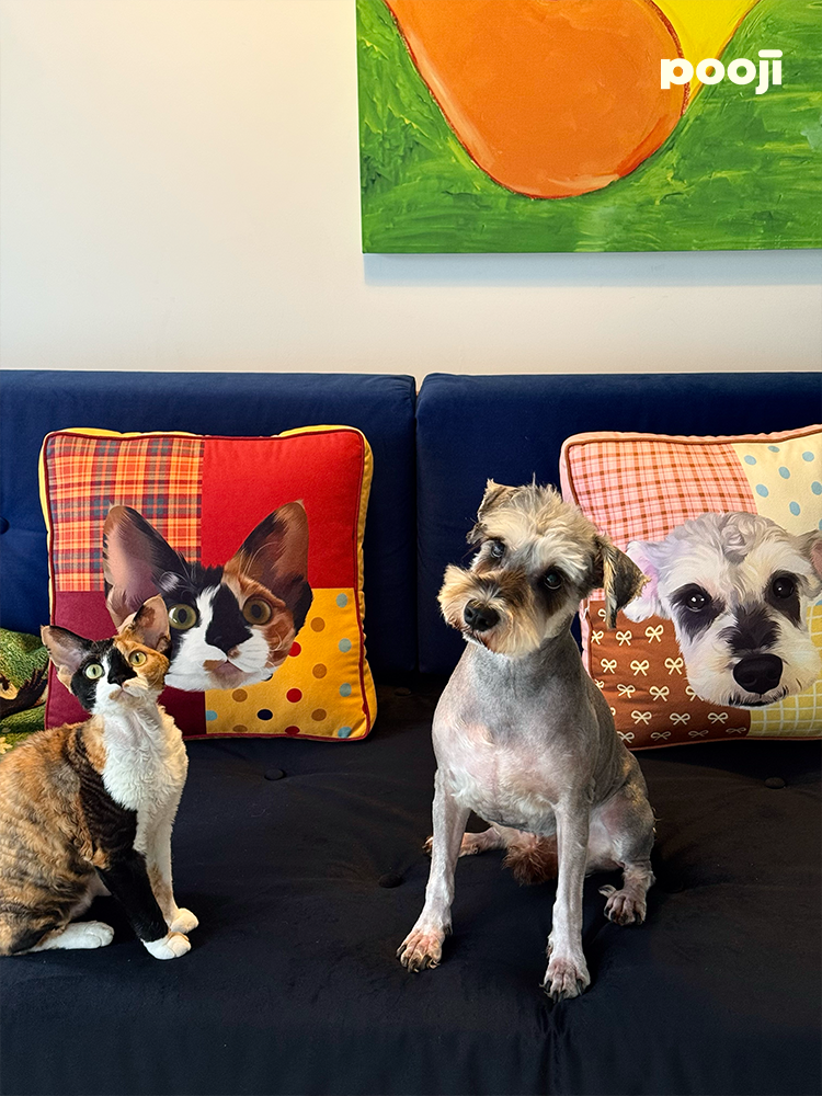 Pooji - Custom Pet Cushion Home Decor