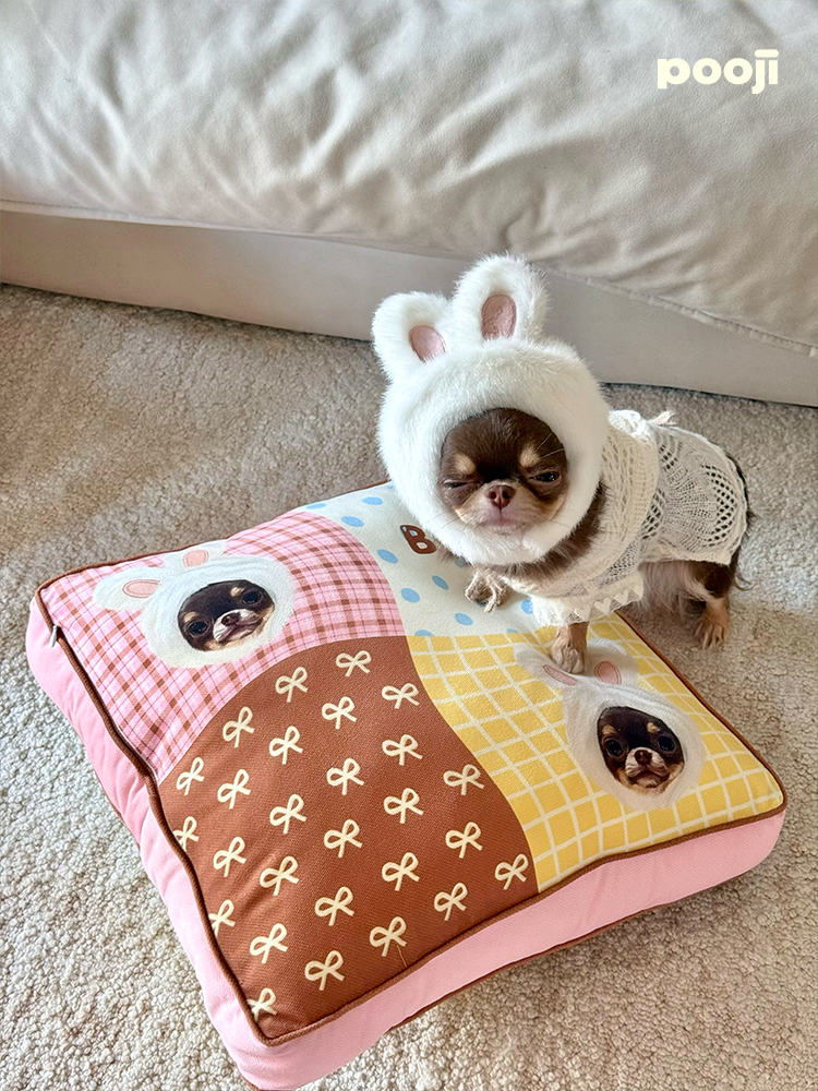 Pooji - Custom Pet Cushion Home Decor