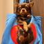 Pooji - Custom Pet Portrait Canvas Tote
