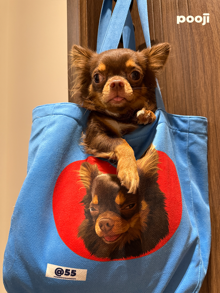 Pooji - Custom Pet Portrait Canvas Tote