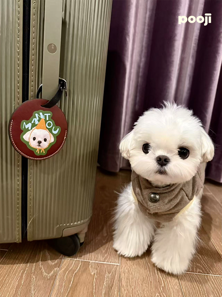 Pooji - Custom Pet Portrait Luggage Tag