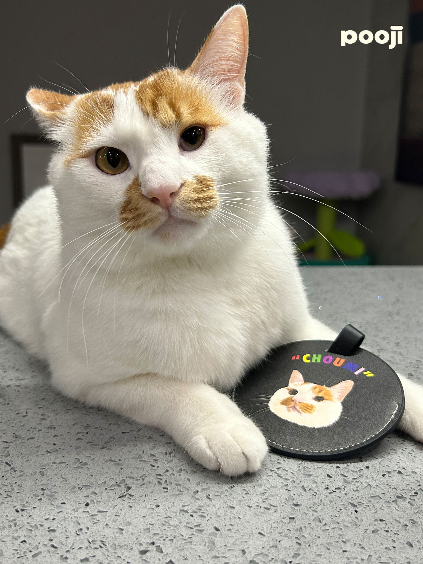 Pooji - Custom Pet Portrait Luggage Tag
