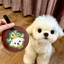 Pooji - Custom Pet Portrait Luggage Tag