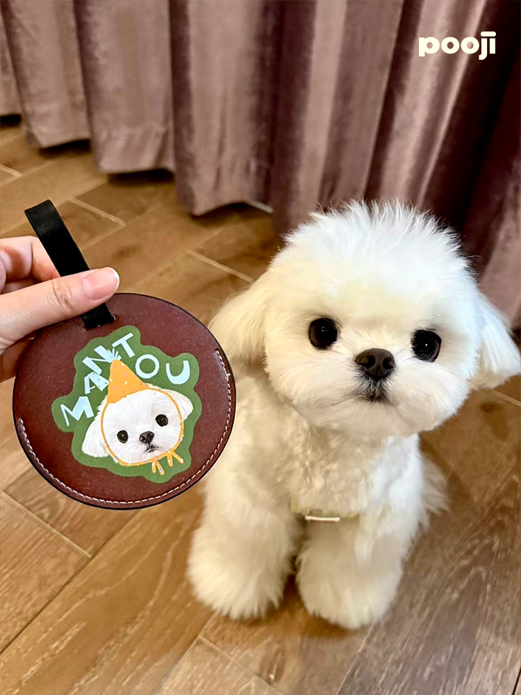 Pooji - Custom Pet Portrait Luggage Tag