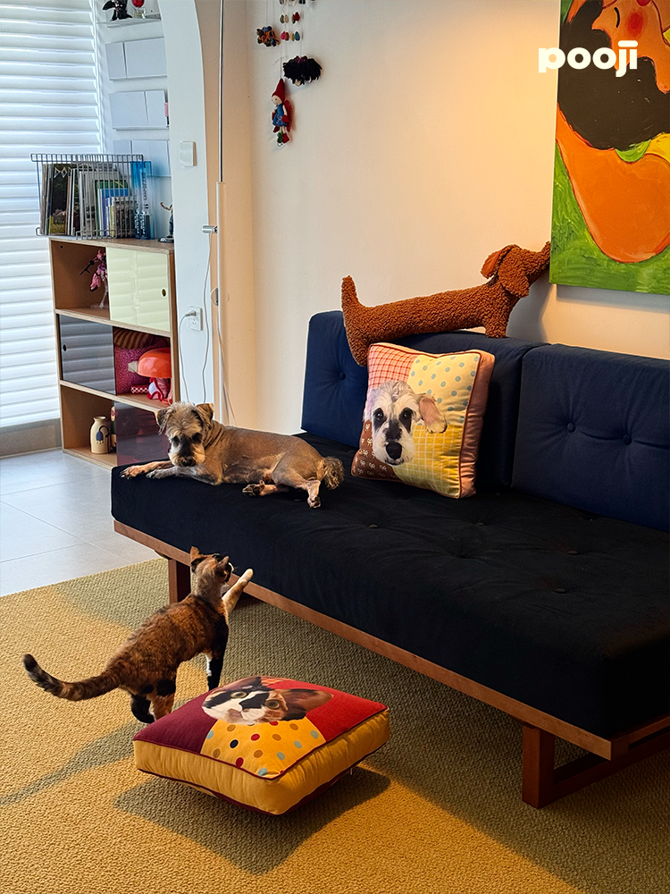 Pooji - Custom Pet Cushion Home Decor