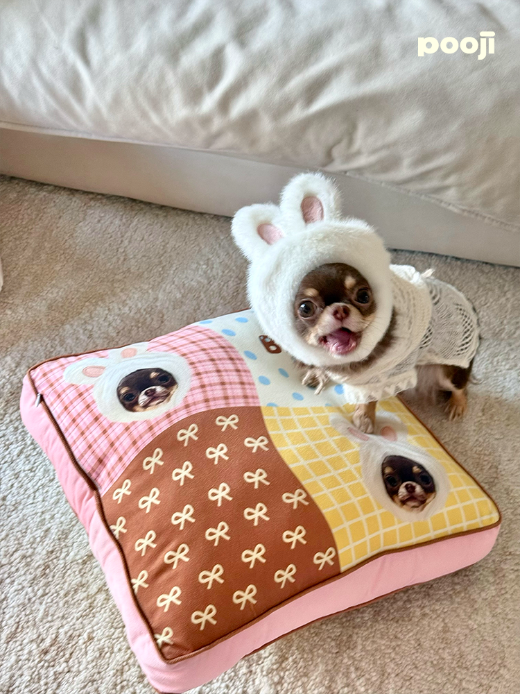 Pooji - Custom Pet Cushion Home Decor
