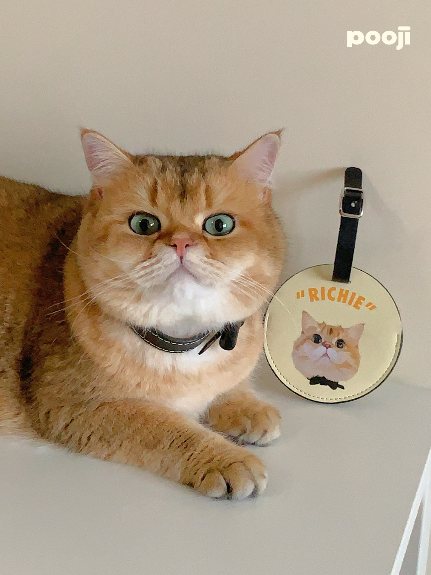 Pooji - Custom Pet Portrait Luggage Tag