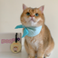 Pooji - Custom Pet Portrait Luggage Tag