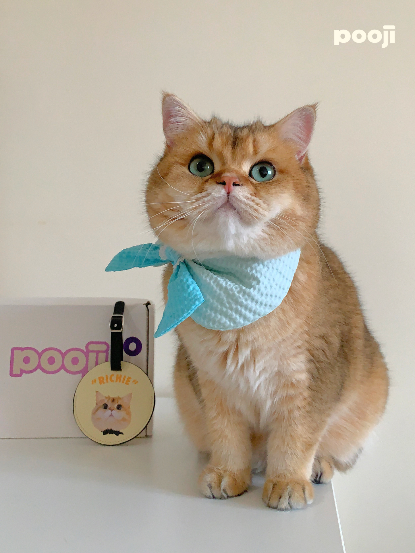 Pooji - Custom Pet Portrait Luggage Tag