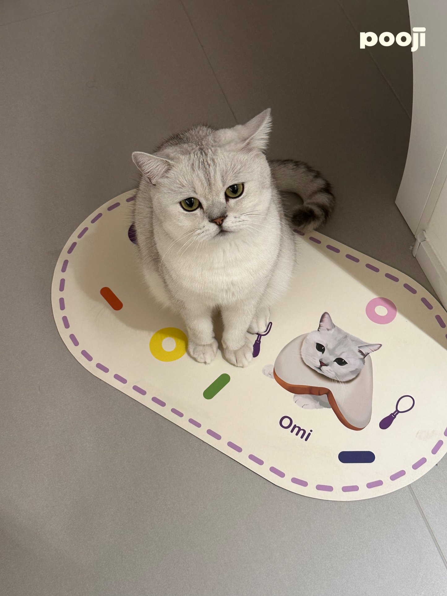 Pooji - Custom Pet Placemat Table Mat