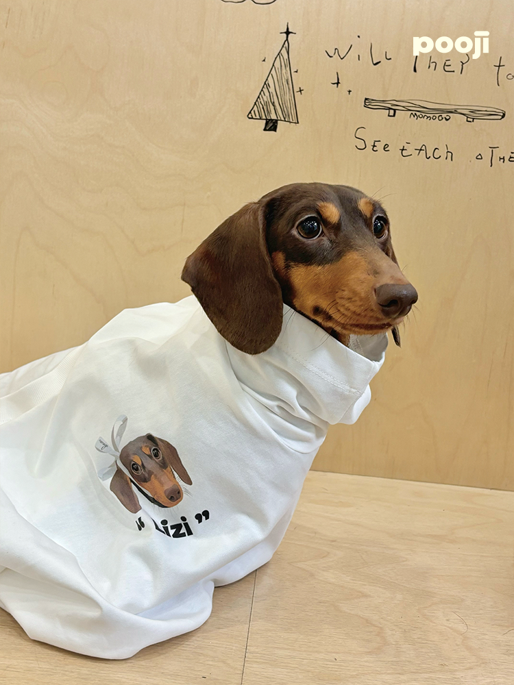 Pooji - Short Sleeve 100% Cotton Pet T-shirt