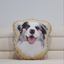 Pooji - Custom Pet Portrait Pillow