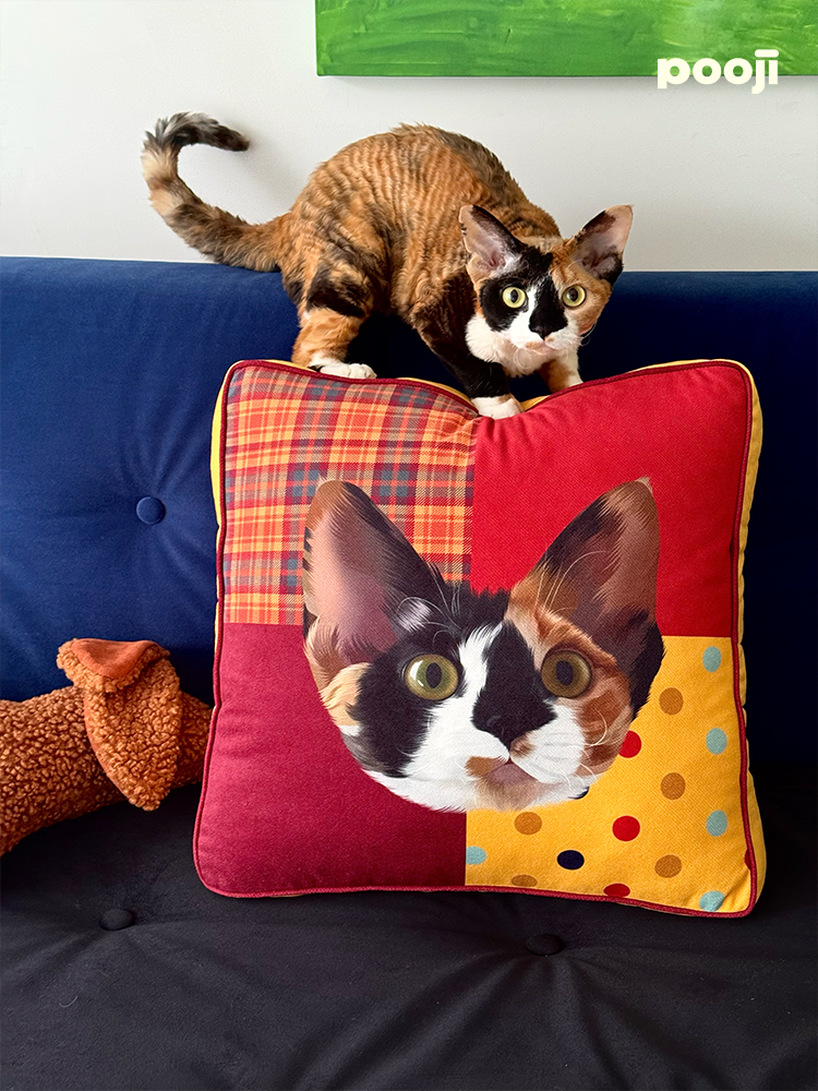 Pooji - Custom Pet Cushion Home Decor