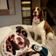 Pooji - Custom Pet Portrait Pillow