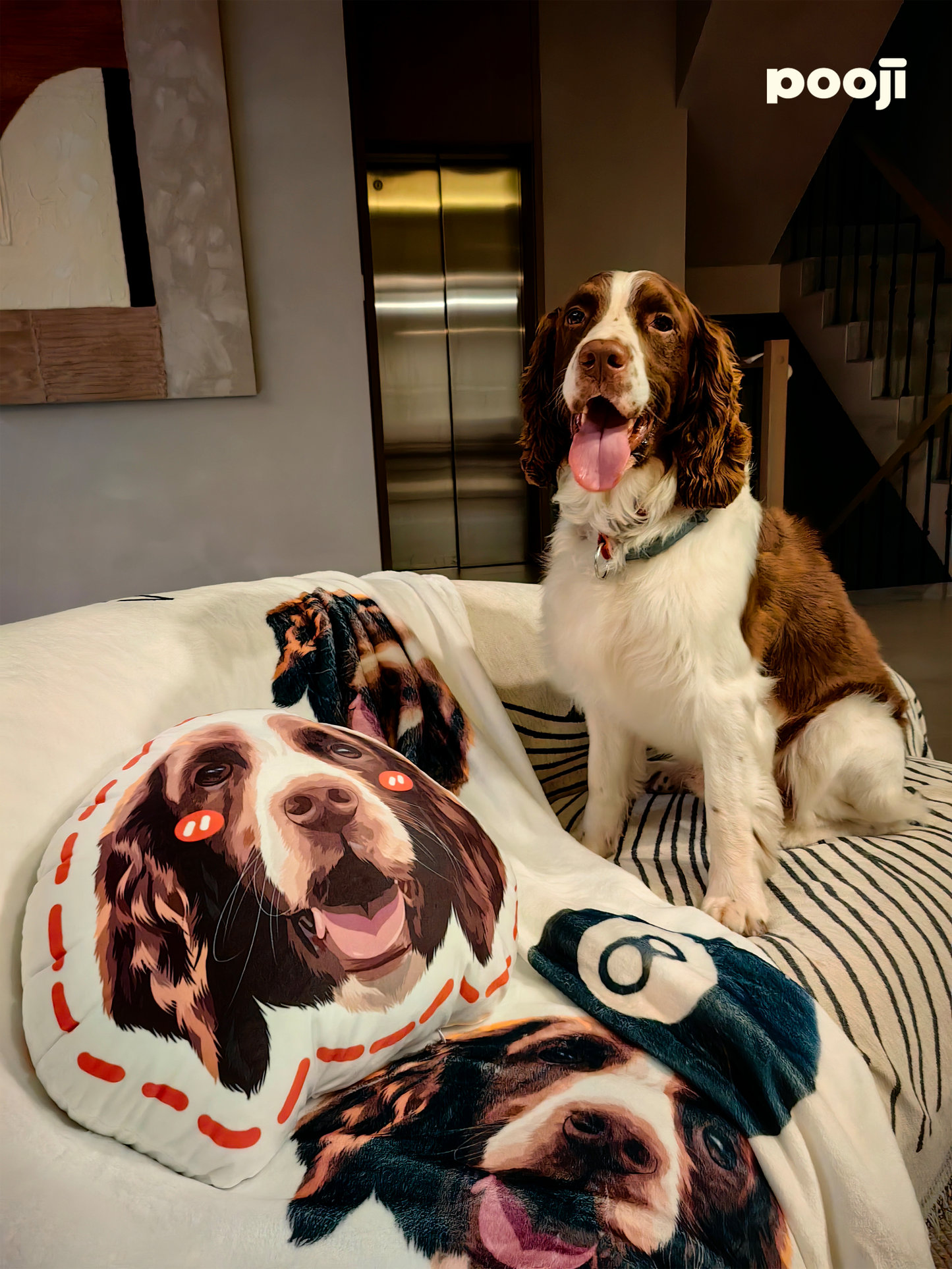 Pooji - Custom Pet Portrait Pillow