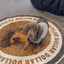 Pooji - Custom Pet Portrait Rug - Round