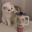1200ml Customized Stainless Tumbler