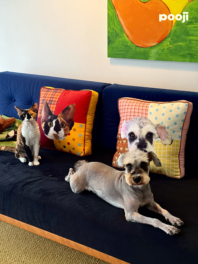 Pooji - Custom Pet Cushion Home Decor