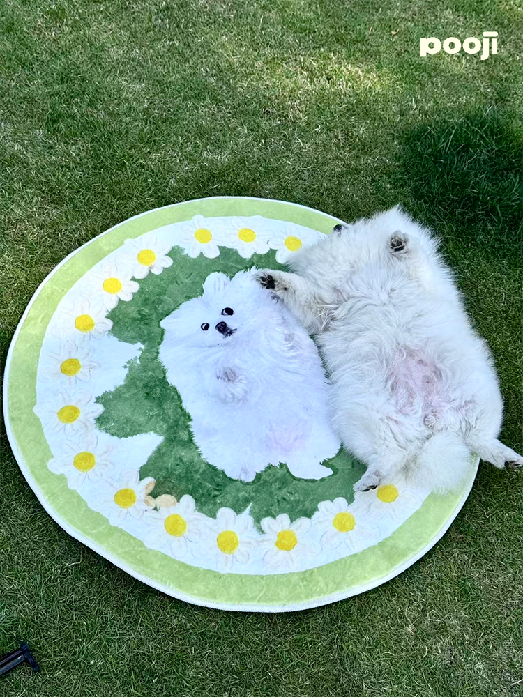 Pooji - Custom Pet Portrait Rug - Round