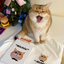 Pooji - Short Sleeve 100% Cotton Pet T-shirt